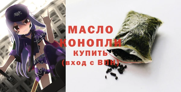 стаф Новозыбков