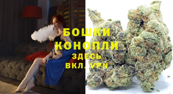 СК Новодвинск