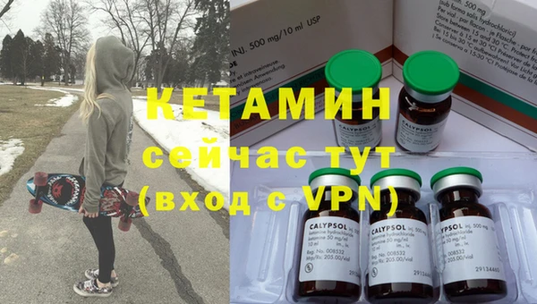 СК Новодвинск