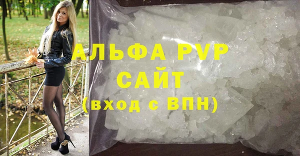 СК Новодвинск