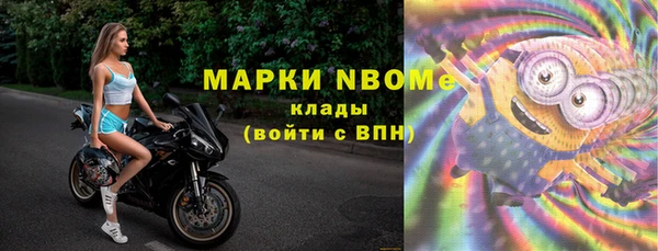 стаф Новозыбков