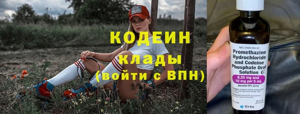 стаф Новозыбков