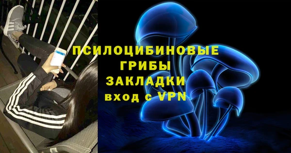 мяу мяу мука Абдулино