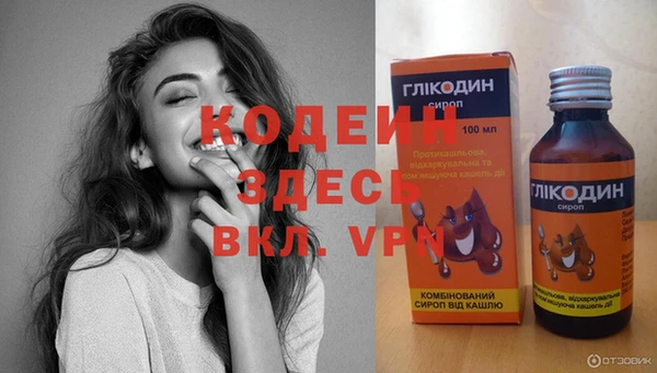 СК Новодвинск