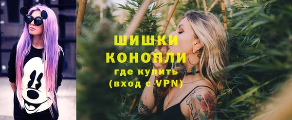 СК Новодвинск