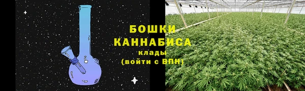 СК Новодвинск